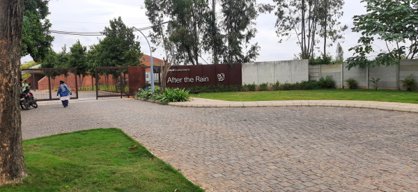 After the Rain by Total Environment